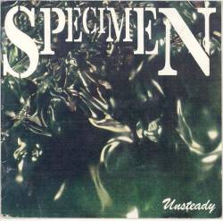 Specimen (FR) : Unsteady
